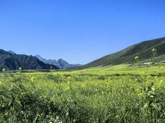 -扁都口生态休闲旅游区