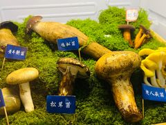 -束河人家(南锣鼓巷店)