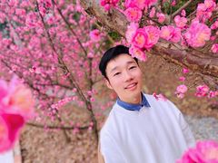 -望江楼公园