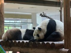 -西安秦岭野生动物园