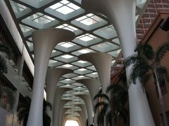 -亚马逊丛林水乐园