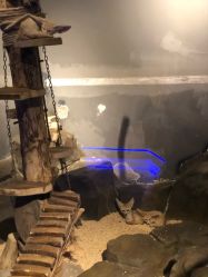 -未来动物城动物主题公园(大悦城店)