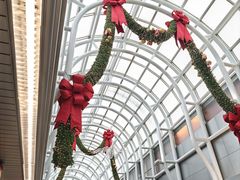 -奥黑尔国际机场