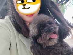 -藏猫猫咖啡主题馆(中央大道店)