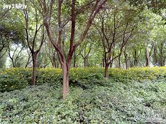 -苏州河梦清园环保主题公园