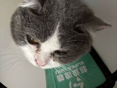 -爱妮康宠物医院·干细胞免疫细胞·肿瘤·心脏(张江店)