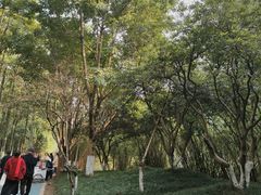 -重庆彩云湖湿地公园