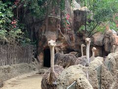 -长鹿旅游休博园