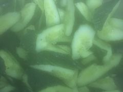 -王红军龙虾(新民路店)