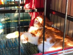 -臻鲜燕海鲜融合餐厅(金陵style店)