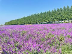 -嘉北郊野公园