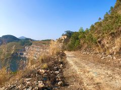 -黄埔油麻山森林公园