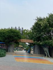 -大望京儿童游乐场