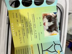 -艾贝尔宠物医院·24H转诊中心·肿瘤猫专科(江宁双龙店)