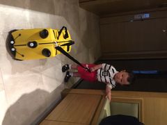 无锡新湖铂尔曼大酒店-无锡新湖铂尔曼大酒店