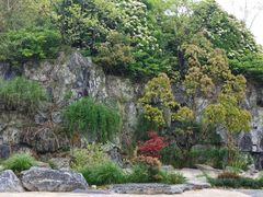 -上海吴淞炮台湾国家湿地公园