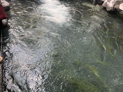 -百脉泉景区