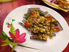 圣子皇-君海悦酒楼