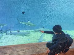 -华夏文旅海洋公园