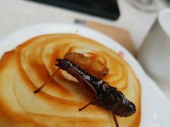 -蔼若春.传承三十年云南菜(金碧公园店)