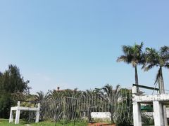 -大嶝英雄三岛战地观光园