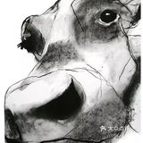 画成这样🍃，真的很帅！  🌈