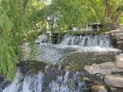 -长白岛森林公园