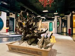 -九朝会昆曲·宴(望京店)