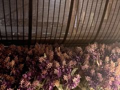 -淀里船宴(卓达店)