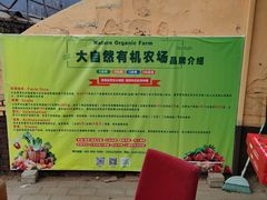 -大自然农场蔬菜草莓采摘园