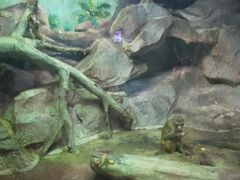 -福州罗源湾海洋世界旅游区