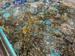 -民盈·国贸城