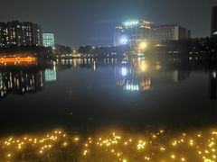 -南翔镇银翔湖公园