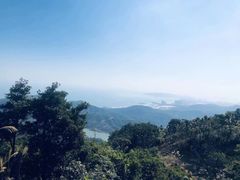 -盐洲岛