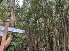 -同里国家湿地公园
