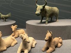 -广西壮族自治区博物馆