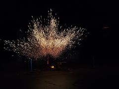 -哈尔滨文化公园