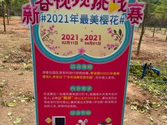-天适樱花悠乐园