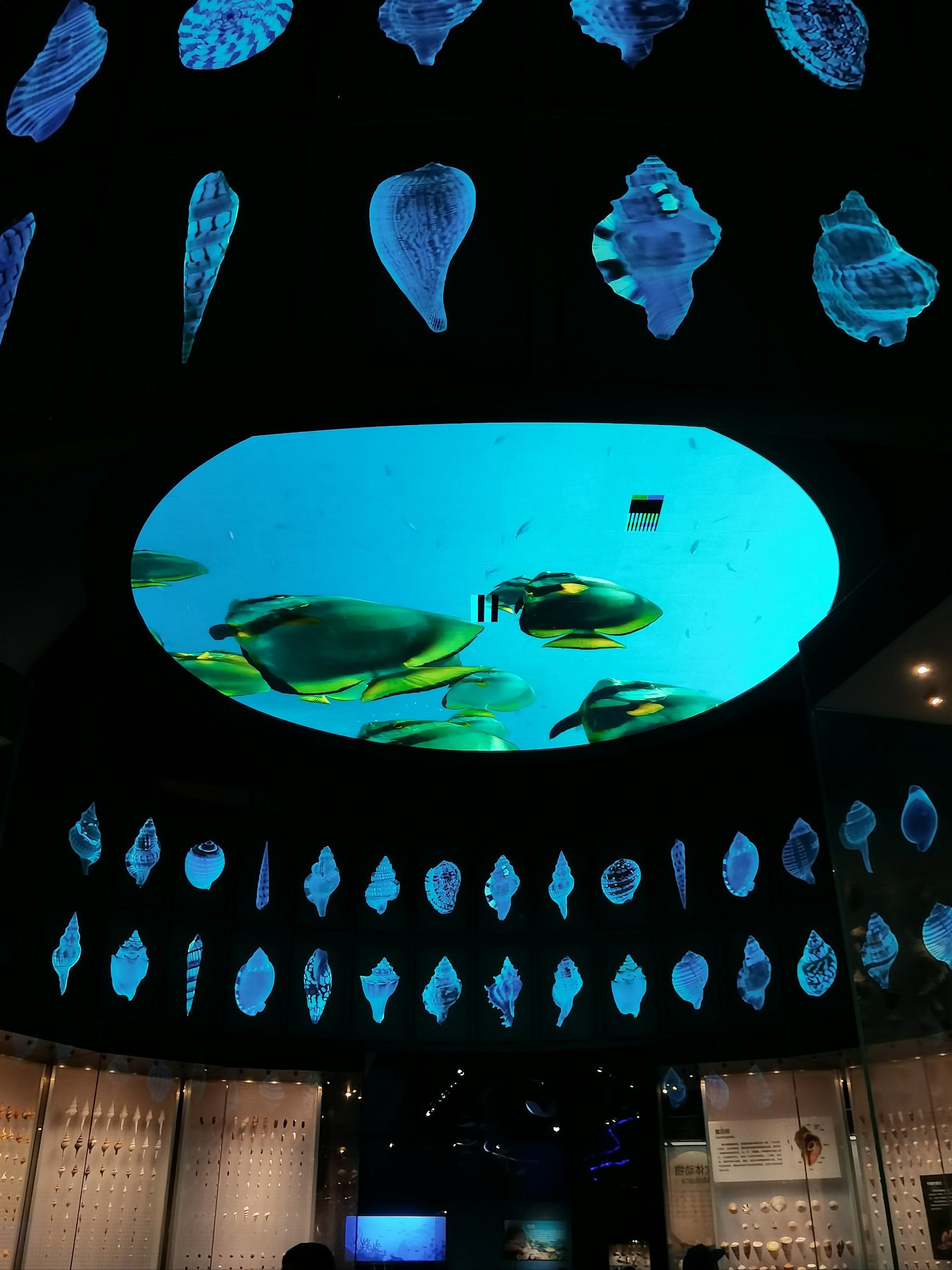 天津海洋博物馆非常吃天气,阴天雨天不推荐‼️