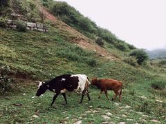 -石棉县孟获城