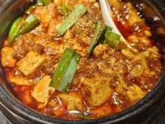 -陈麻婆豆腐总店