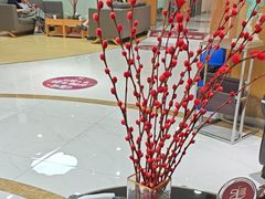 -雅悦齿科(顾村公园店)