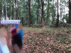-黄埔油麻山森林公园