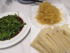 -丁老爷子苏香圆