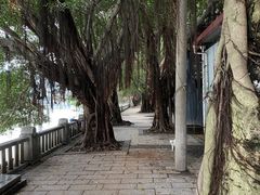 -光明港公园