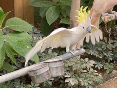 -南宫五洲植物乐园