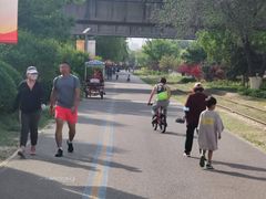 -永定河休闲森林公园