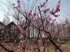 -太阳岛度假酒店