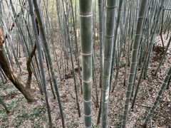 -敬亭山风景名胜区