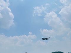 -空港花田景区